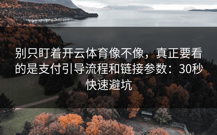 别只盯着开云体育像不像，真正要看的是支付引导流程和链接参数：30秒快速避坑